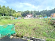 山武市松尾町古和　条件なし売地 全１区画【土地】