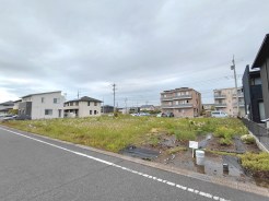 ３号地側より