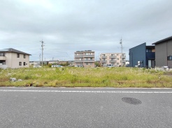 ２・３号地側より