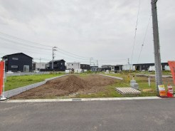 1号地