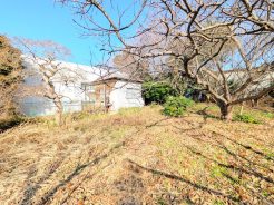 八千代市大和田新田