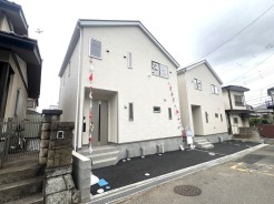 柏市戸張