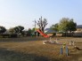 公園