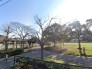 公園