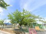幼稚園