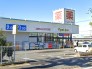 マツモトキヨシ柴崎台店 1000m