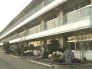 富里市立七栄小学校 1800m