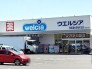 ウエルシア四街道大日桜ケ丘店 550m
