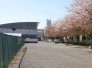 八街市立八街北中学校 3800m