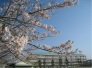 匝瑳市立八日市場第一中学校 2000m
