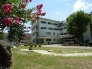 佐倉市立佐倉小学校 1600m