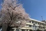 小学校