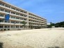 中学校
