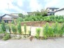 1号地 