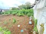 2号地 