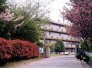 中学校