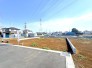 11号地 