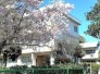中学校