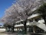 中学校