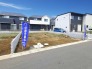3号地 