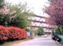 中学校
