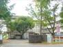 中学校