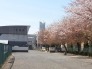 中学校