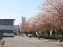 中学校