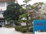 小学校
