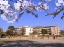 中学校