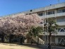 中学校