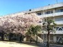 中学校