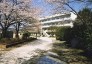 中学校