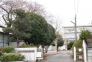 中学校