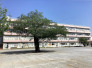 富勢小学校 200m