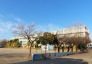 柏市立大津ヶ丘第一小学校 800m