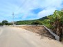 【前面道路を含む現地外観(4号棟)】