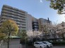 総合病院