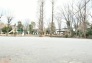 公園