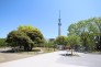 公園