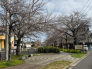 公園