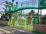 幼稚園