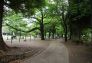 公園