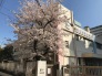 幼稚園
