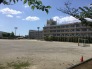 大学