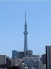 住戸からの眺望写真