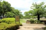 公園