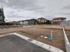 5号地