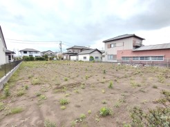 3号地