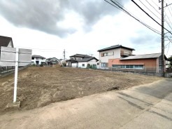 3号地